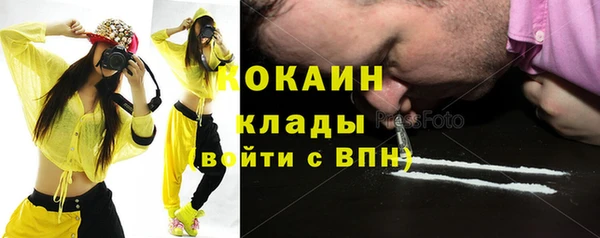 прущие грибы Каменка