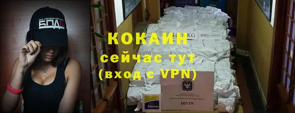 винт Карпинск
