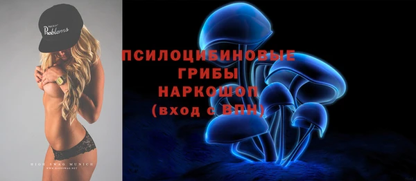 винт Карпинск