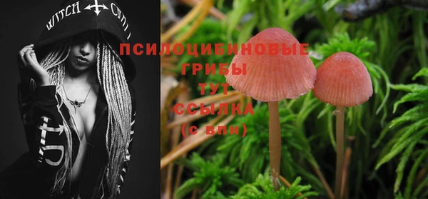 альфа пвп Карталы