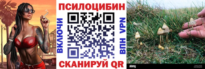 Галлюциногенные грибы мицелий  Купить где  Ступино 